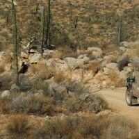vehicle4
