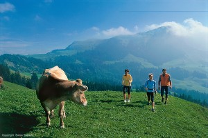 Appenzell - Day 9
