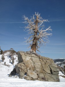 Sking at Squaw Valley 003