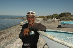 Gray Whales 39