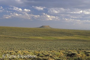 Wild Horse Loop014