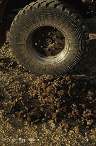 Wild Horse Loop017