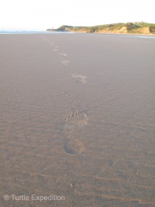 Each night the tide came in to erase all the footprints and sand castles.