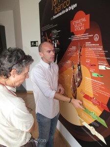 A visit to the fabulous Ham Museum in Monesterio gave us a better understanding of why the Jamón de Bellota is famous in Spain and other countries of Europe.