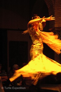 There are many styles of Flamenco Dancing. The show at the Museo del Baile Flamenco was very professional.