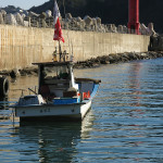 Even the lighthouse at the harbor of Sinnam, where the Haesindang Park is located, was a phallic symbol.