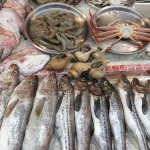 Korea Blog 10 15