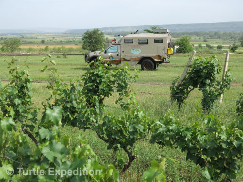 After the hectic traffic in Tbilisi, we enjoyed a quiet camp in the countryside.