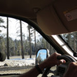 As luck would have it, we snuck over Donner Pass (I-80) on dry roads, just missing the first snowstorm of the year.