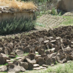 Cow pies were neatly drying in the sun. We suspected they were mostly used for heat in the winter.