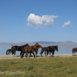 Kyrgyzstan 4 030