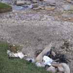 Unfortunately Kyrgyz and others leave their trash and mess behind.
