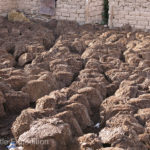 Cow, yak or horse dung is a common source of fuel, but closer inspection showed that these piles were more like peat, which when dried also burns well.