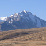 We said goodbye to the snow-clad mountains and herds of yaks and horses peacefully grazing around tidy yurts.
