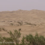 As far as the eye could see there was only impassible sand. Walking on it I would sometimes sink past my ankle, like walking on deep snow.