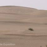 China Blog 4 021