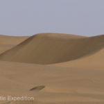 The sand dune scenery was ever changing.