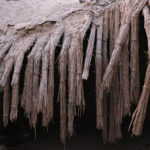 China Blog 4 071