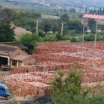 Bricks are very much the main form of construction. Every one of these bricks was hand stacked and will be hand transported to waiting mini-trucks and later to their final use on a building, one brick at a time. Cheap labor!!