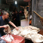 Tripe, (the edible lining from the stomachs of various farm animals), was not one of our favorites.