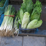 We did not pass up the chance to buy some fresh Chinese cabbage & leek.