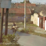 Had we followed this guy on his motorbike, we guess we could have found fresh lamb, judging by the two on his rack.