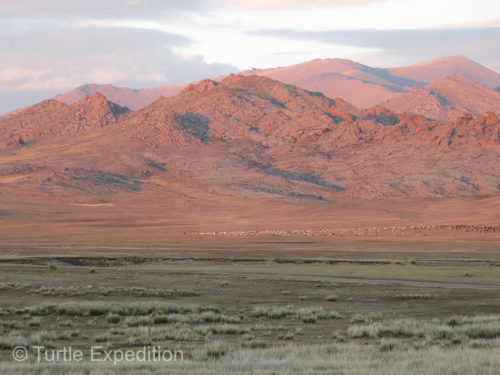Mongolia! The wide open space was just the way we remembered.