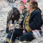 After 10 years, the golden eagle chicks taken out of their nests are released and returned to the wild to breed.