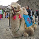 Mongolia Blog 5 100