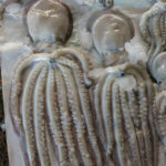 A piece of art? Nope. Octopus resting on a bed of ice.
