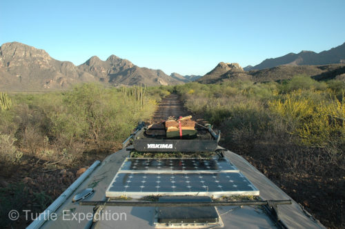 Sharp mesquite trees on Baja back roads will leave some nice racing stripes.