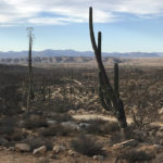 The beautiful backroads of Baja lead to some of the most interesting locations.